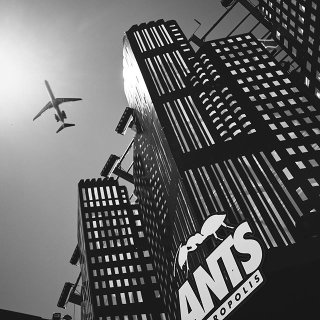 Metropolis — Ants, Ushuaïa Ibiza